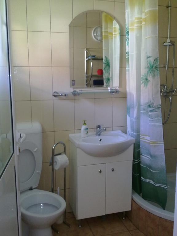 Apartmán Harmonia Studio Brašov Pokoj fotografie